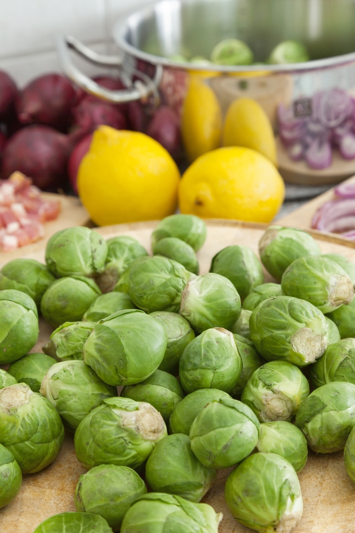 Brussels Sprouts - Brassica oleracea 'Long Island' from GCM Theme Two